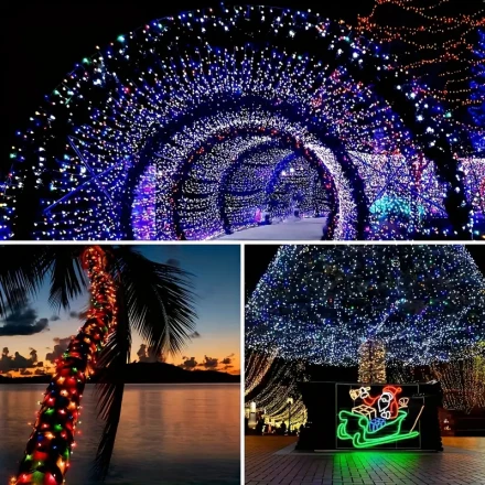 LED String Lights, 8 Lighting Modes, Battery Powered, Water-Resistant, for Indoor/Outdoor Decor, Patio, Fence, Festive Party Decoration