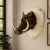 3D Warthog  Wall Art