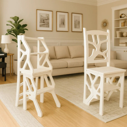Convertible Chair Ladder