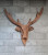 Wall decor "Deer"
