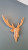 Wall decor "Deer"