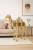 Multifunctional Camel Shelf