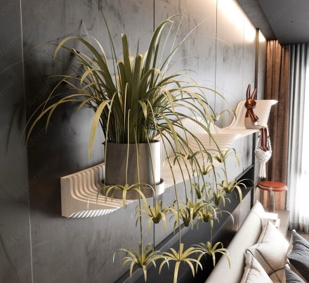 Organic wall shelf
