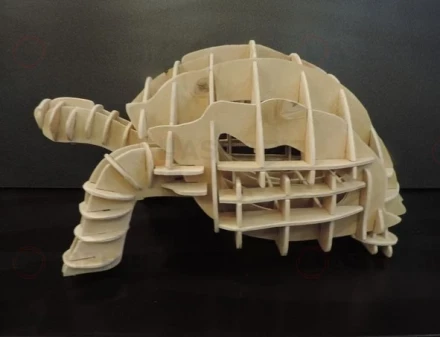 Multifunctional Turtle Shelf