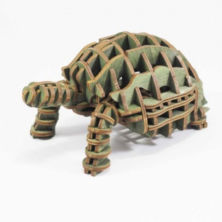 Multifunctional Turtle Shelf