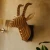 3D Antelope Wall Art
